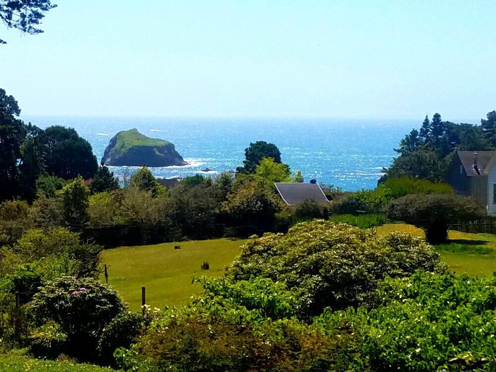 Guestroom View