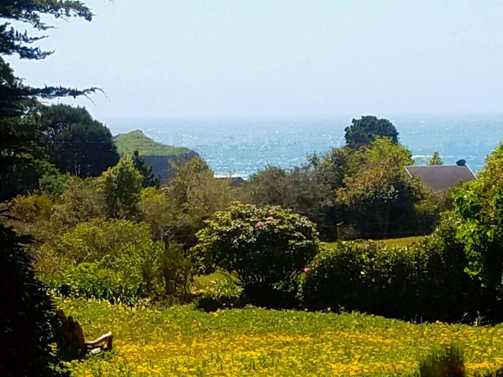 Guestroom View