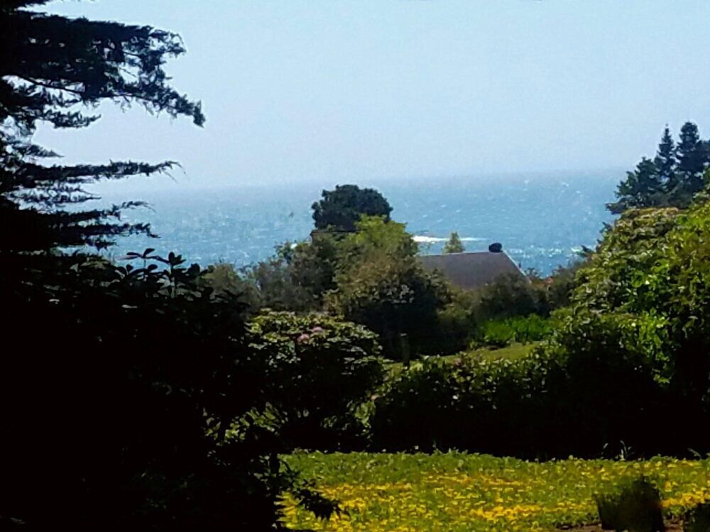 Guestroom View
