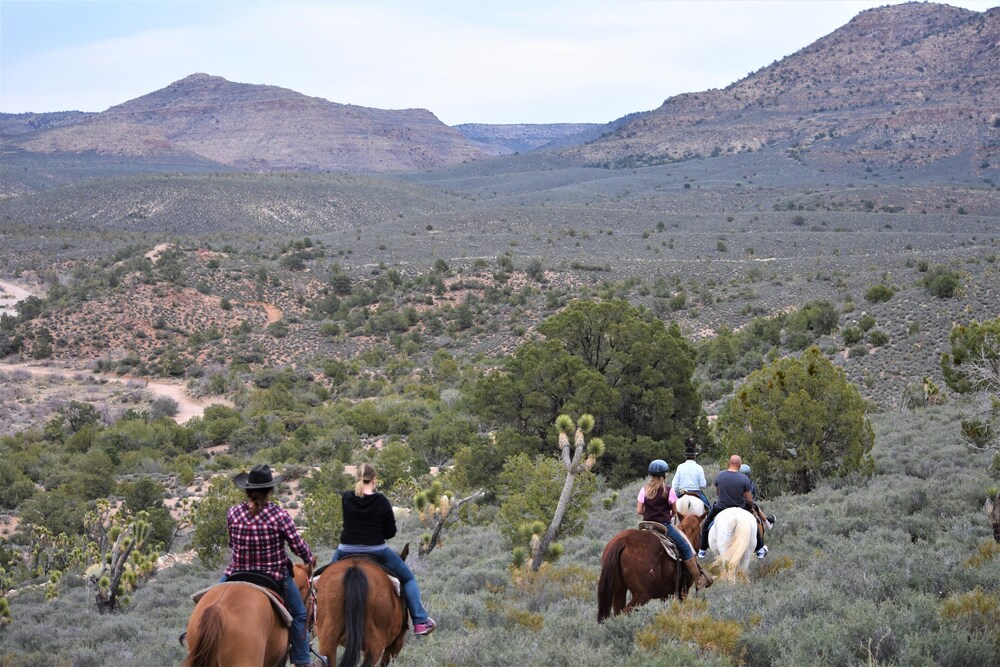 Horse Riding