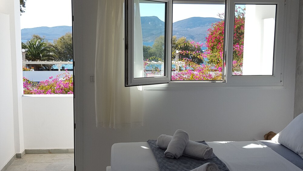 Guestroom View
