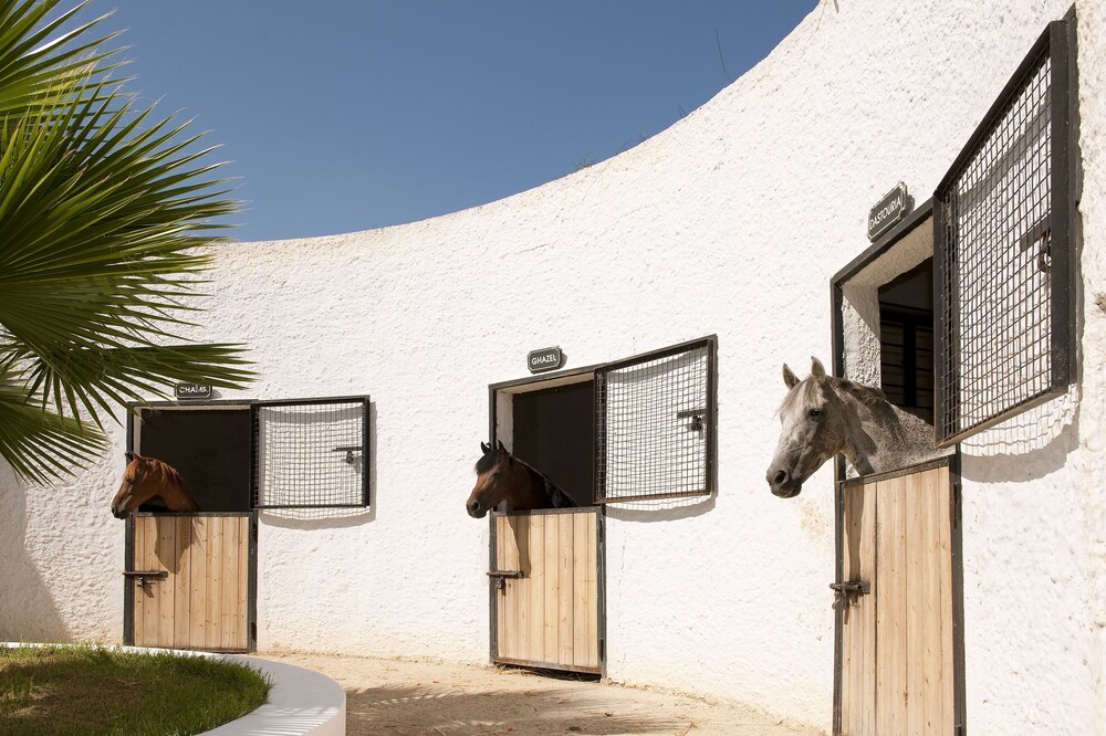 Installations sportives