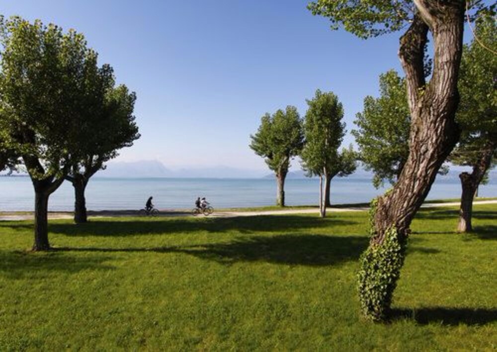 Lake View