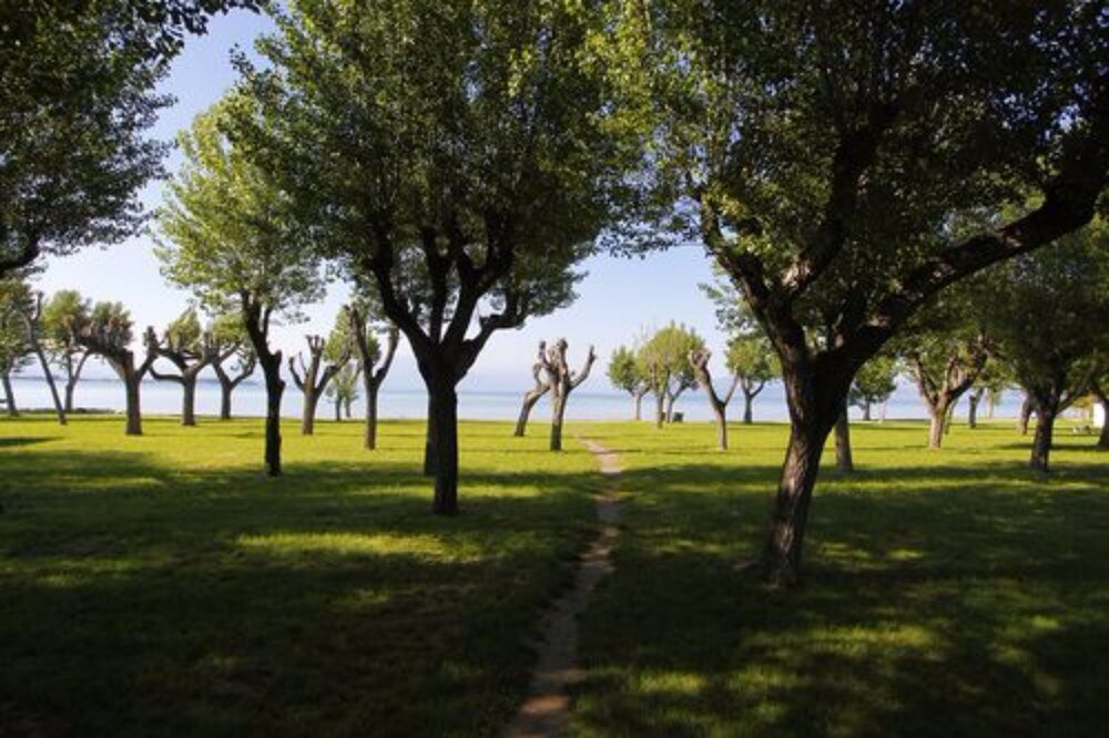 Lake View