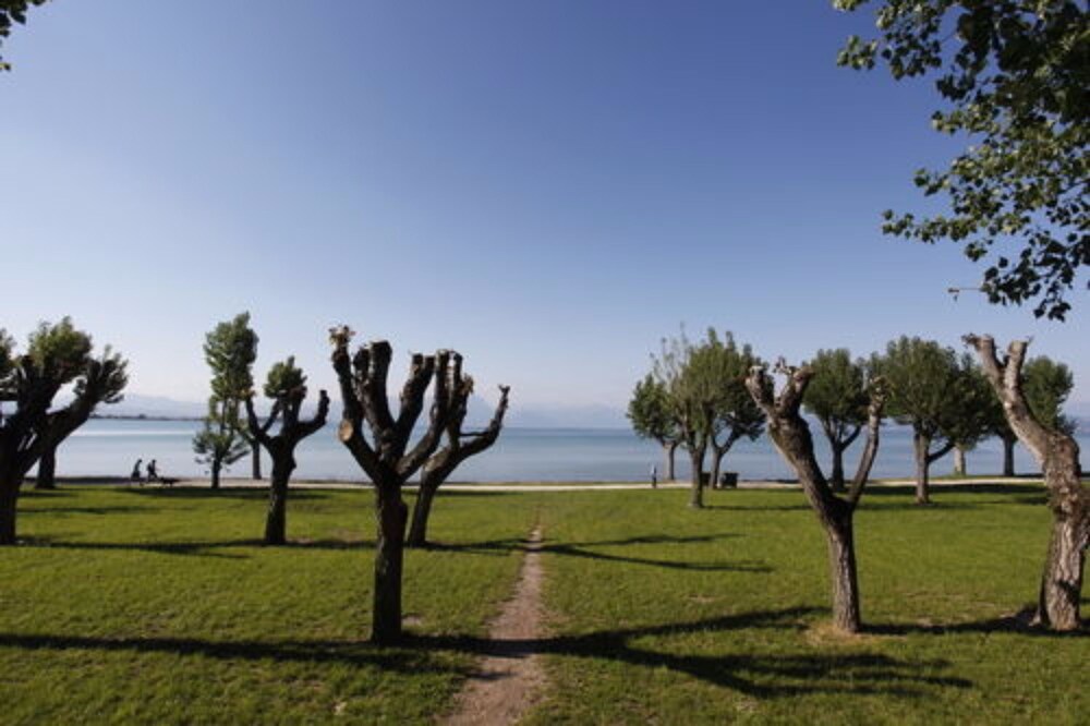Lake View