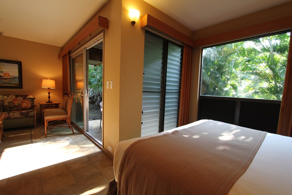 Studio (Condo) - Guestroom