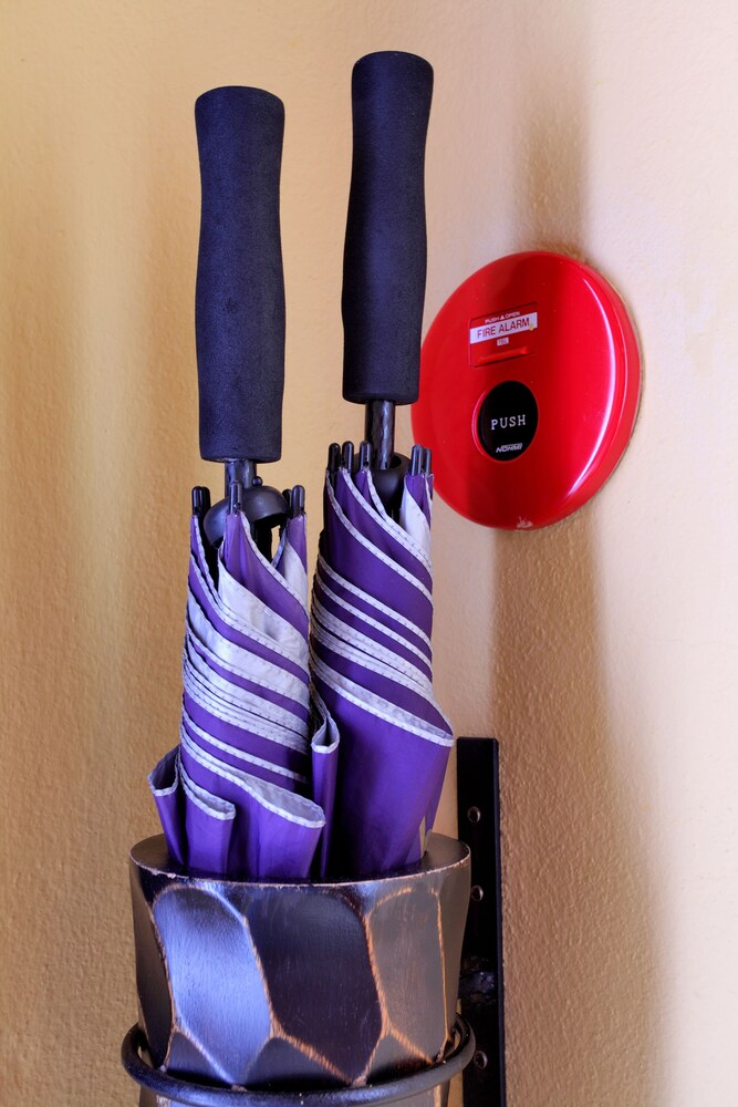 In-Room Amenity
