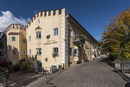 Goldener Adler