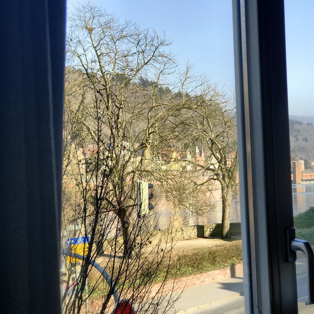 Guestroom View