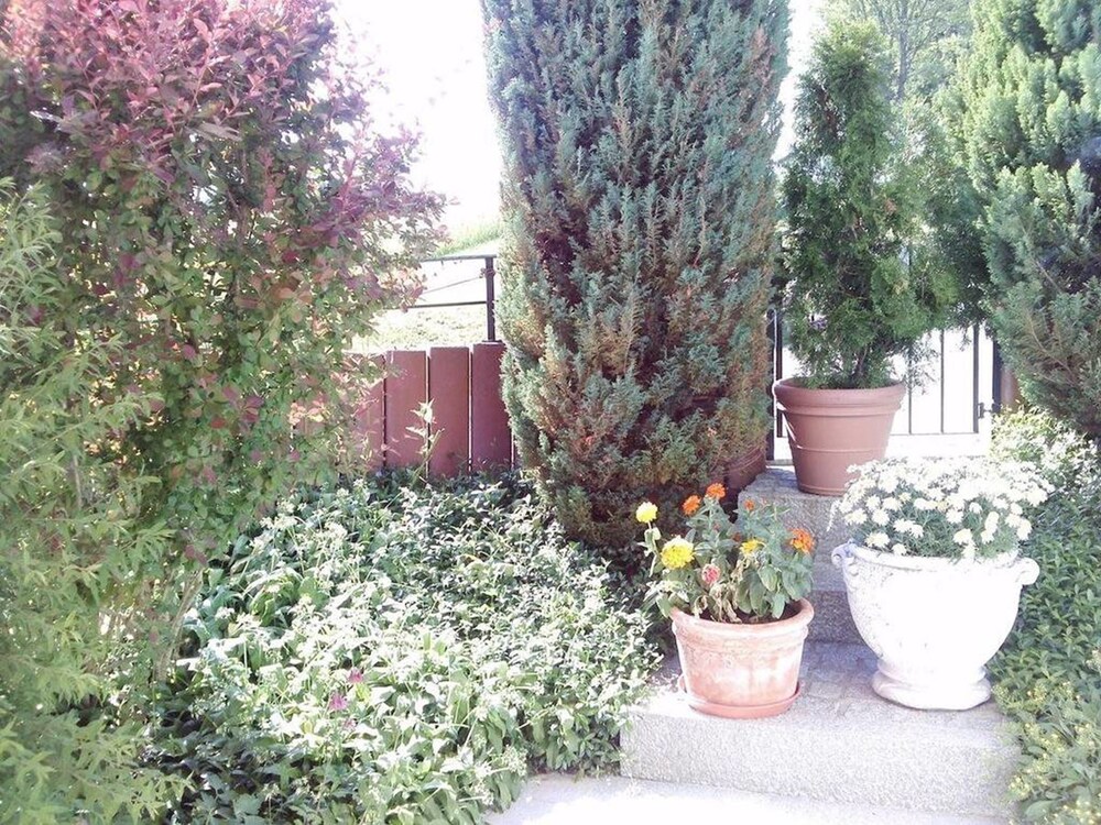 Jardin