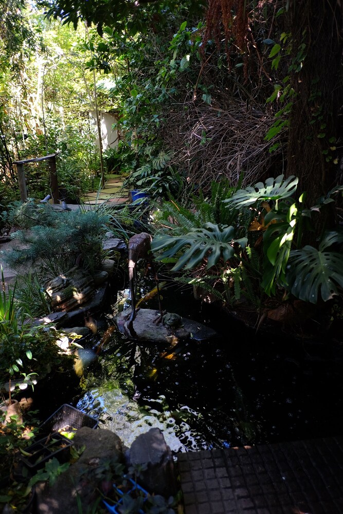 Natural Pool