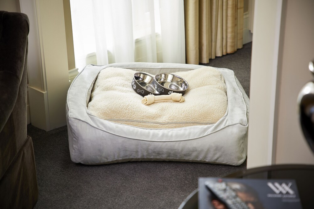 Pet-Friendly