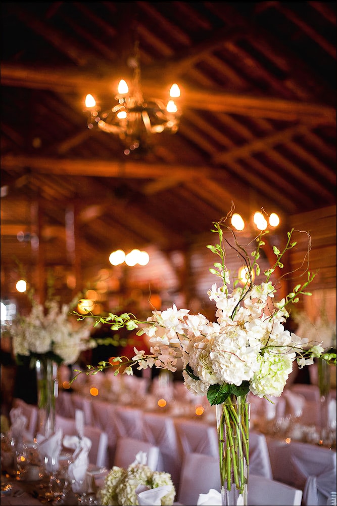 Reception Hall