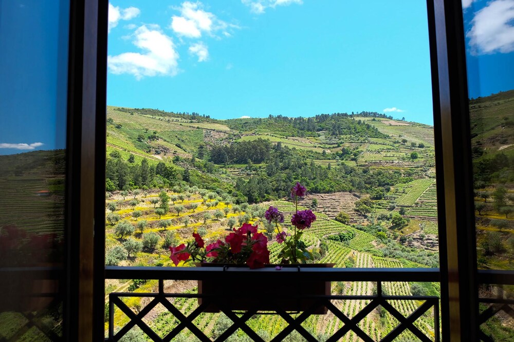 Guestroom View