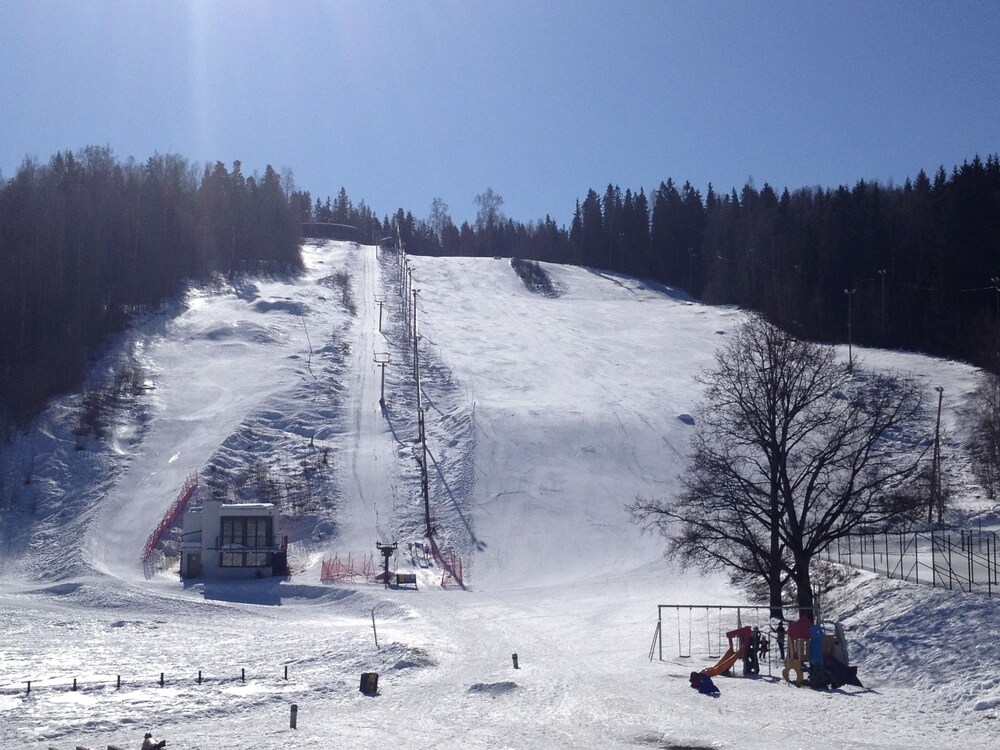 Skisport