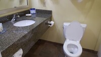 Standard Room, 1 King Bed, Accessible, Non Smoking
