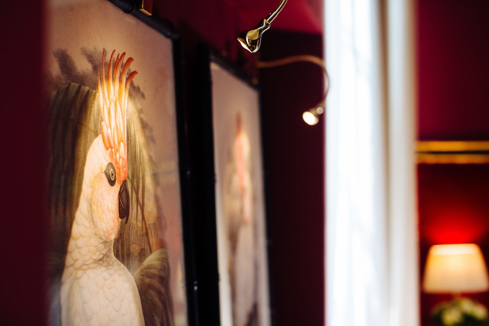 Guestroom