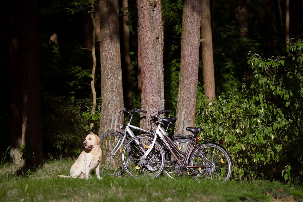 Bicycling