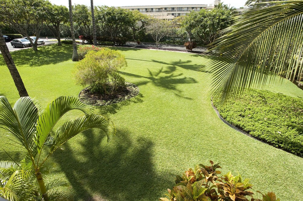 1 Bedroom, Non Smoking - Terrace/Patio