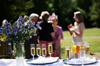 Outdoor Wedding Area