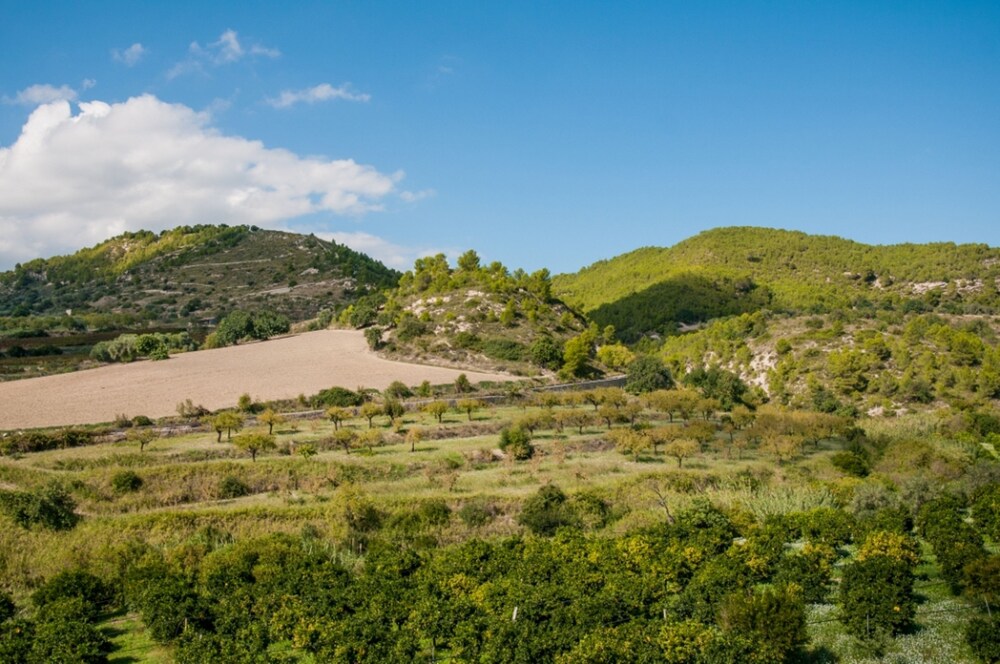 Vista montagna