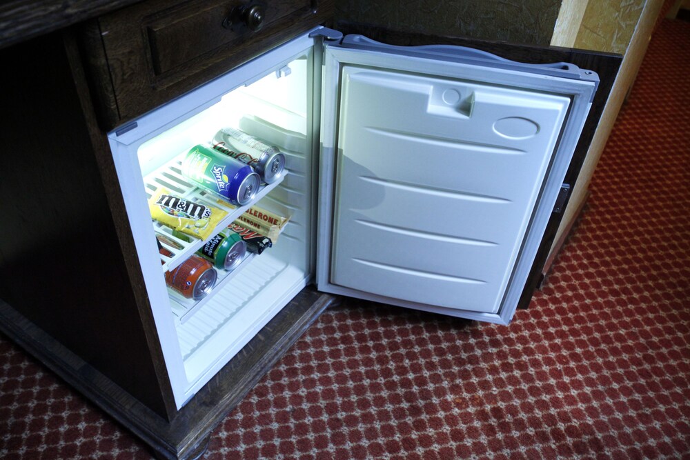 Mini-Refrigerator