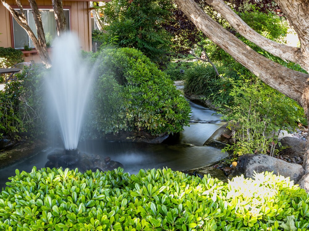 Fountain