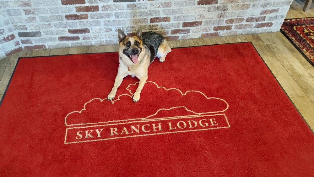 Pet-Friendly