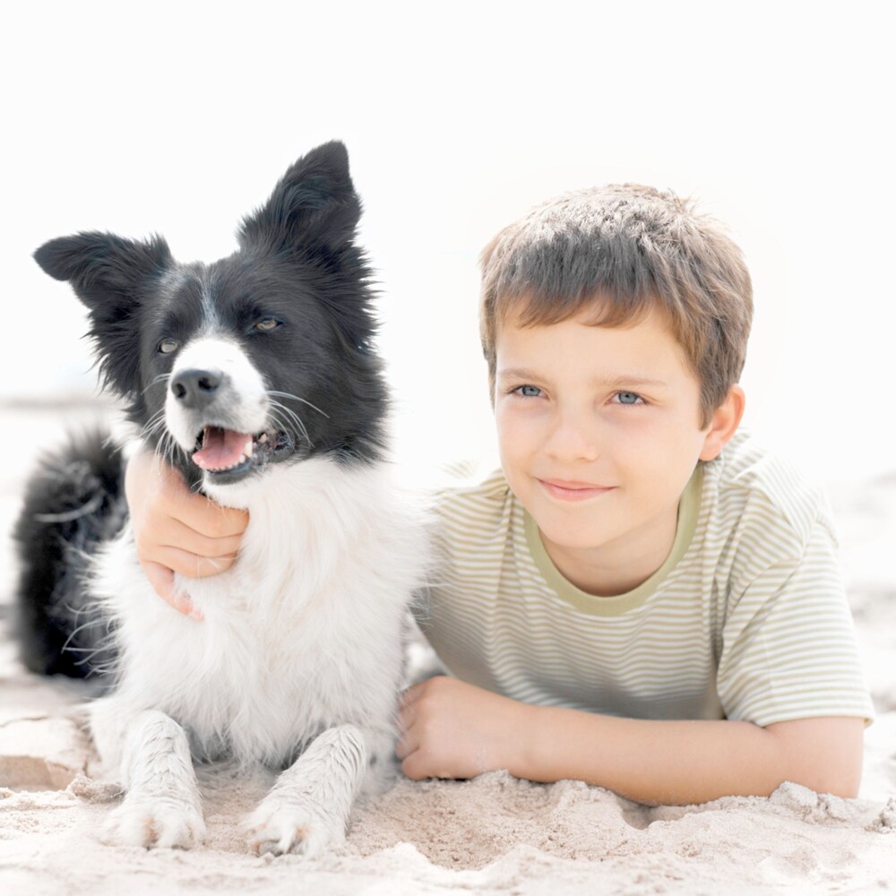 Pet-Friendly