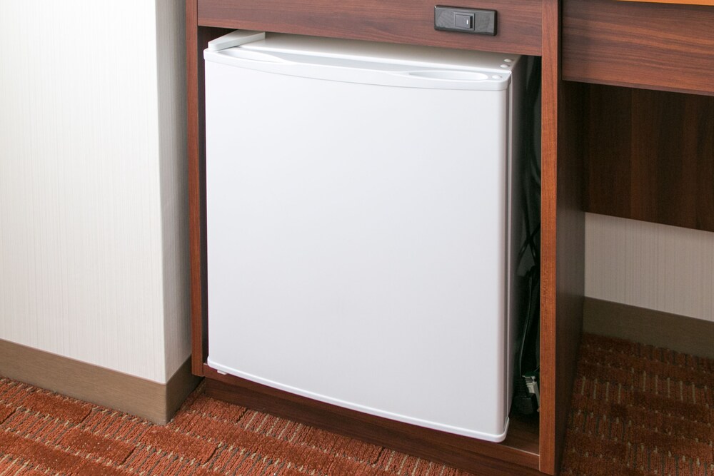 Mini-Refrigerator