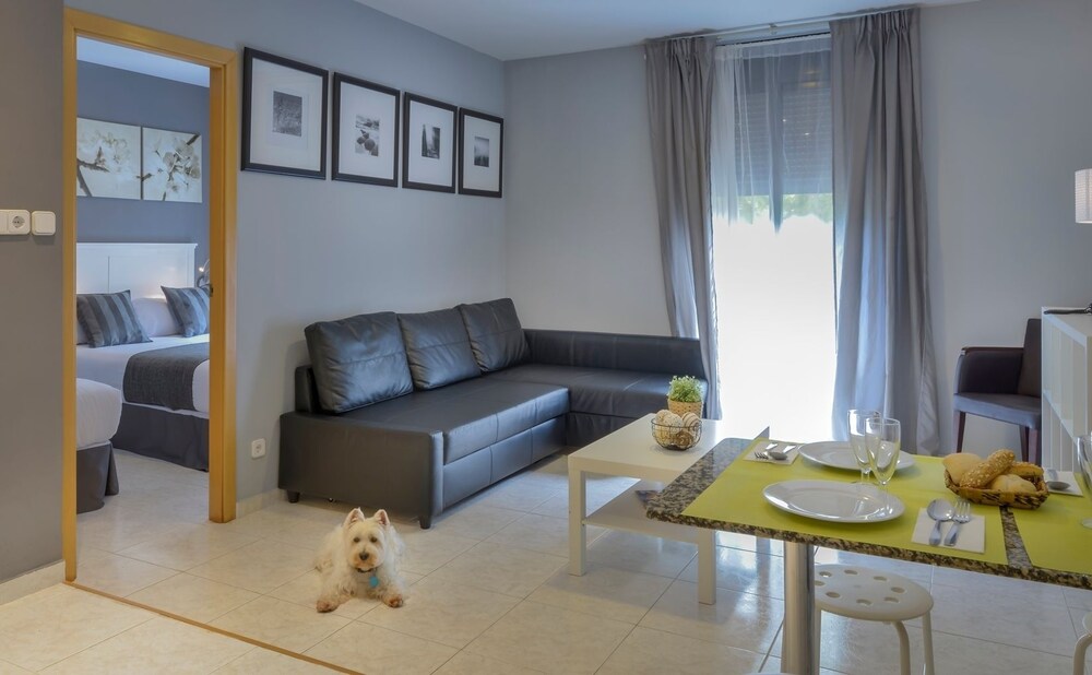 Superior Apartment, Kitchen - Living Area