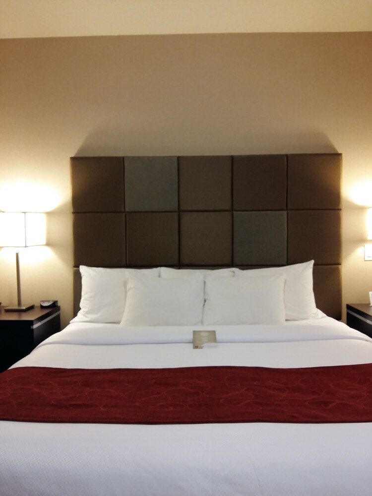 Guestroom View