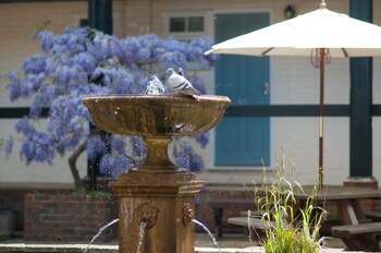 Fountain
