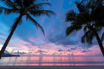 Beach/Ocean View