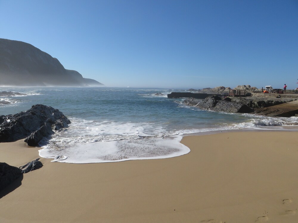 Beach/Ocean View