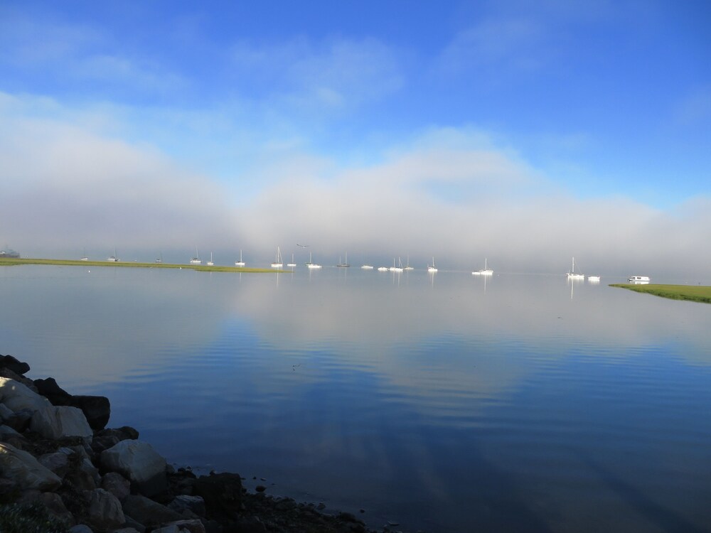 Lake View