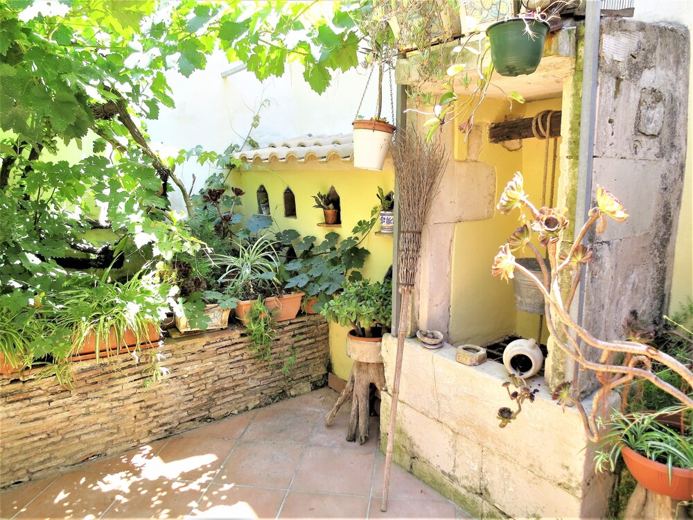 Apartment (Suite) - Terrace/Patio