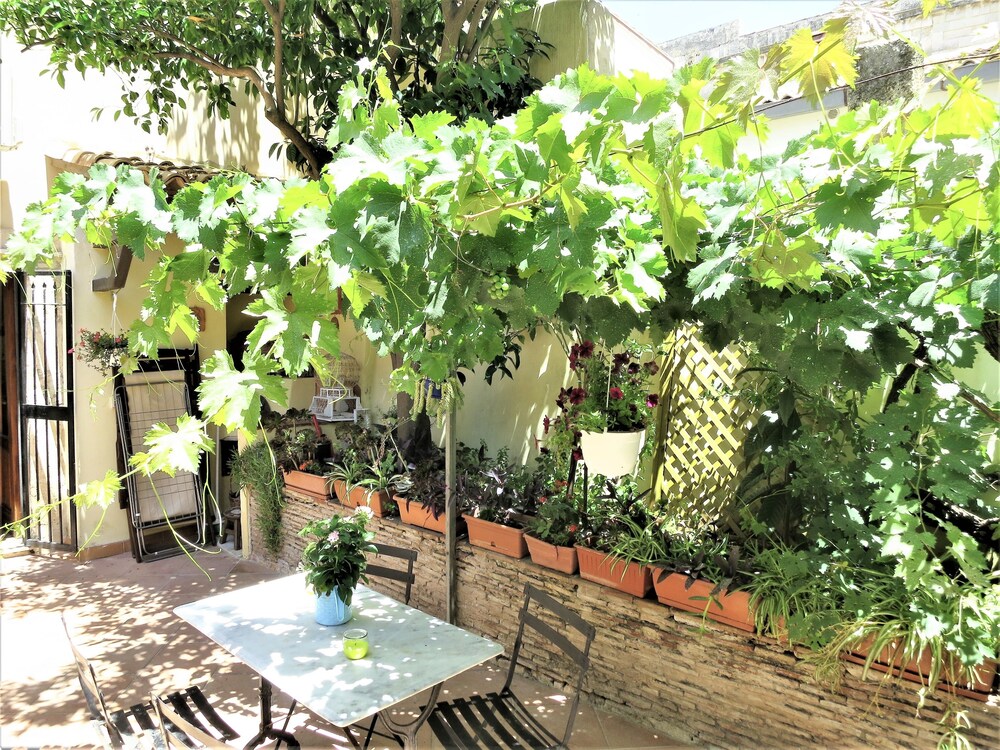 Apartment (Suite) - Terrace/Patio