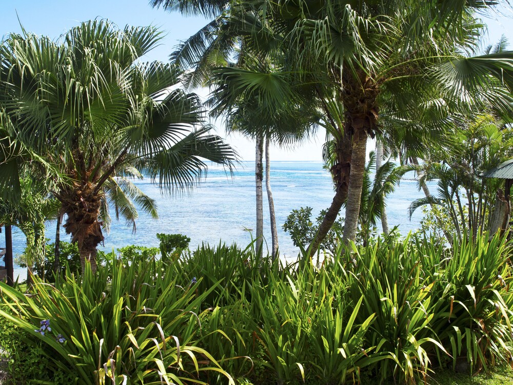 Guestroom View