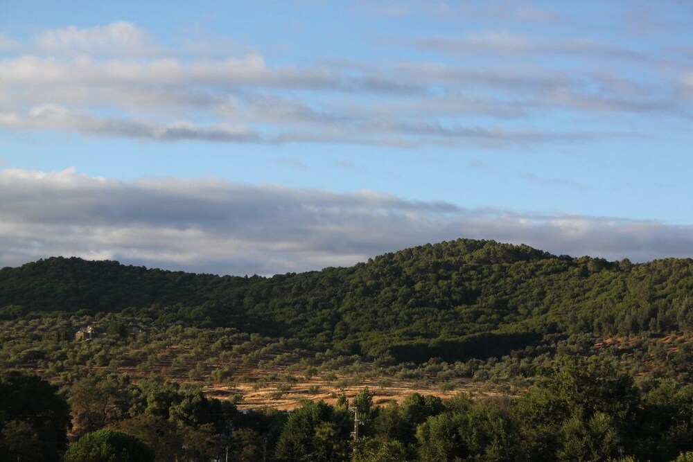 View from Hotel