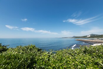 Beach/Ocean View