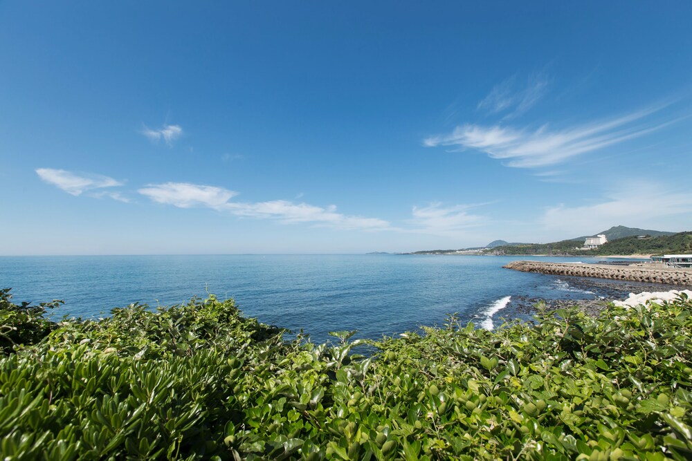 해변/바다 전망