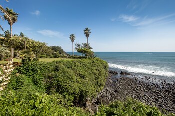 Beach/Ocean View