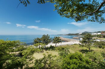 Beach/Ocean View