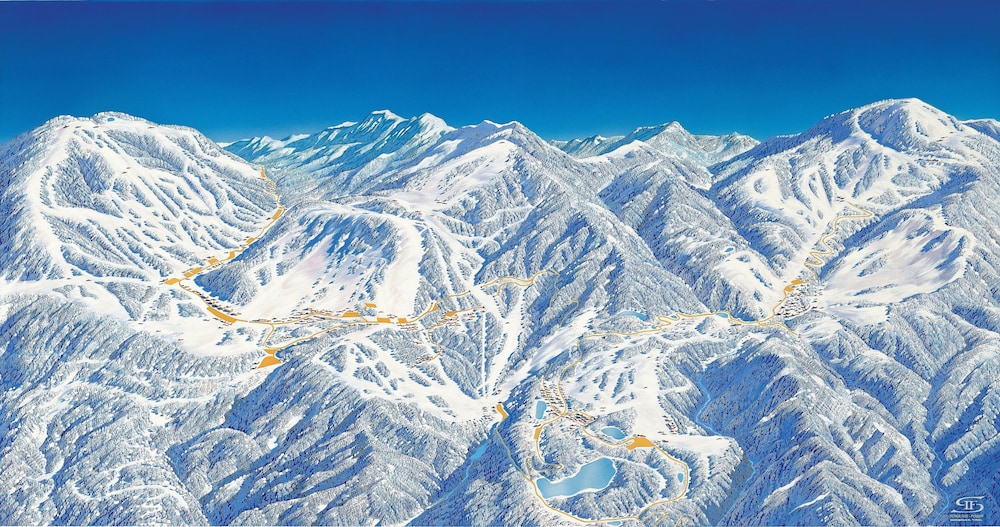Skiing