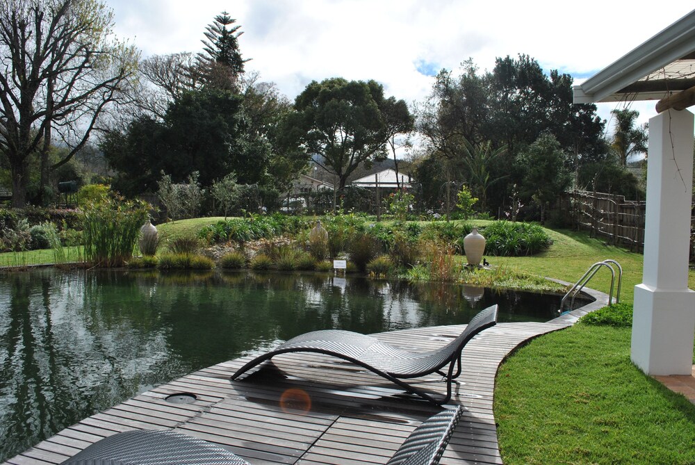 Natural Pool