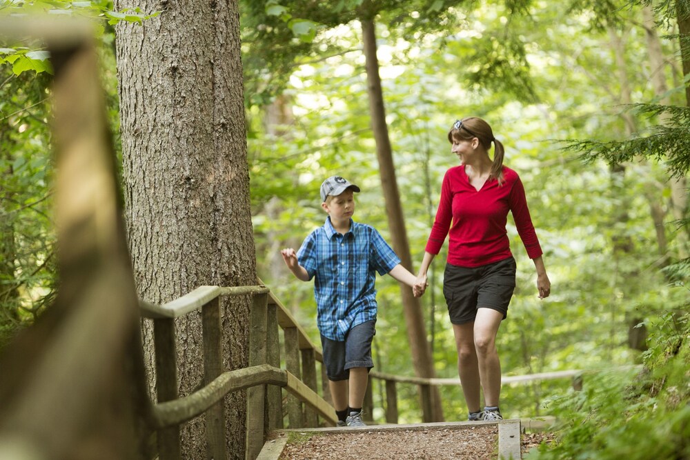Hiking