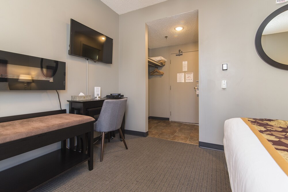 In-Room Amenity
