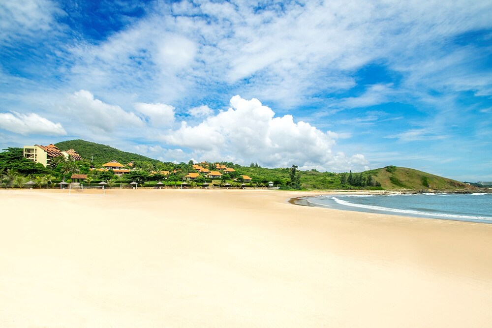 Beach/Ocean View