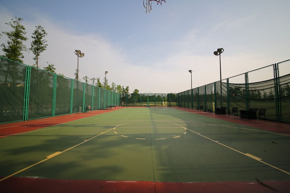 Basketball Court